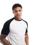 [French Connection Mens] French Connection raglan t-shirt in white & navy-Multi Chest 40 White/marine