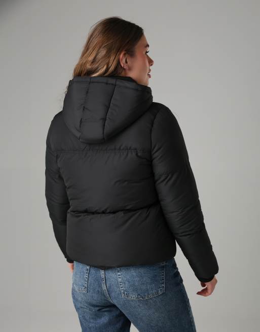 French Connection Short padded hooded puffer zip jacket in black, 3 of 4