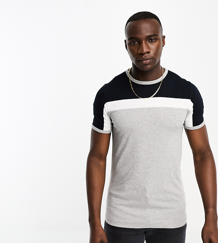 French Connection Tall colour block t-shirt in light grey, white & navy