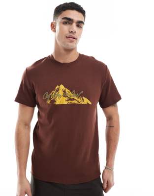 t-shirt in brown with summit print