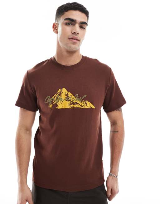 G-Star - T-shirt marrone con stampa di montagna