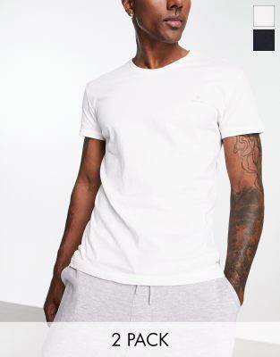 GANT 2-pack loungewear T-shirts in black/white with logo-Multi