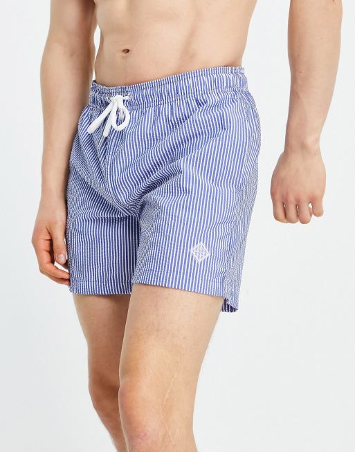 GANT - Gestreepte zwemshort in blauw met logo aan de zijkant