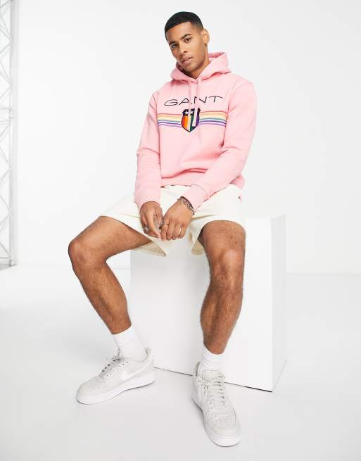 Gant discount stripe hoodie