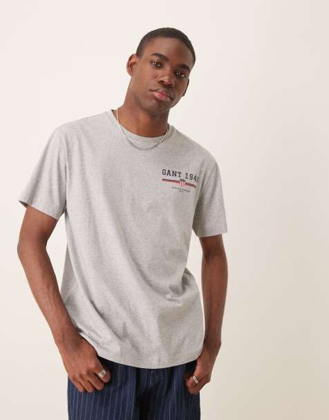 GANT small logo t-shirt in grey - view 1