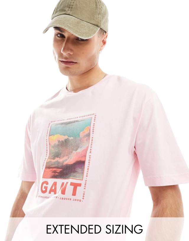 Gant - washed front cloud logo print t-shirt relaxed fit in pink