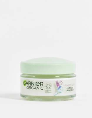 garnier organic skincare