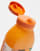 Thumbnail 2 of 4
