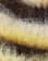 Miniaturebillede 2 af 3