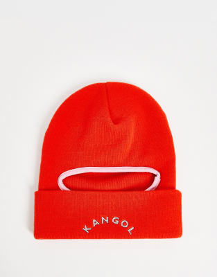 Perro De Invierno Con Gorro Rojo De Punto Aislado Imagen De Archivo