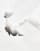 Thumbnail 2 van 4