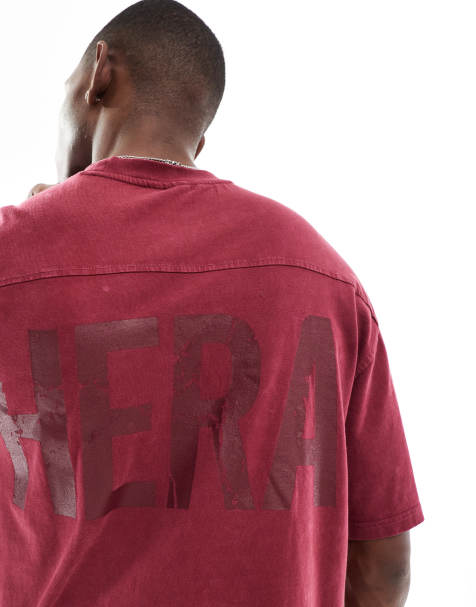 Hera Mens washed graphic t-shirt in oxblood