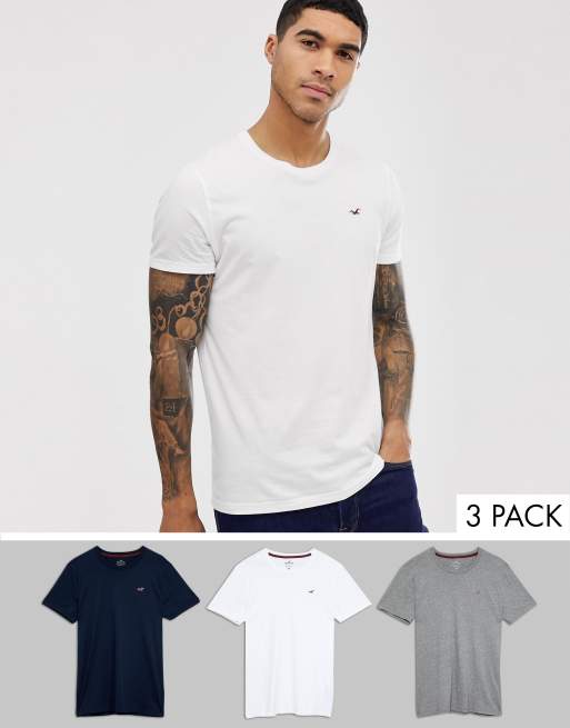 Hollister crew neck seagull logo t-shirt in gray