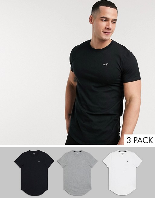 Hollister 3 pack solid curved hem t-shirt seagull logo slim fit in white/grey/black