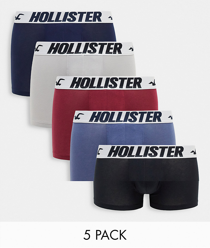 Hollister 5 pack contrast logo waistband trunks in multi