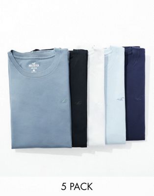 Hollister 5-pack crew neck t-shirt in tonal blues