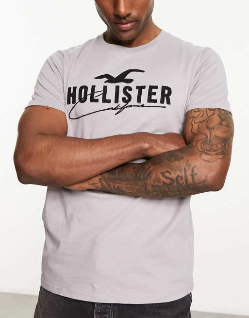 Hollister tech retro logo blocking t-shirt in white/gray marl, ASOS