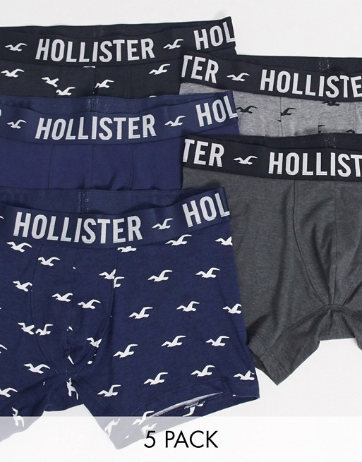 Hollister 5 pack plain/icon print trunks logo waistband in black print/grey/navy print/navy/grey print