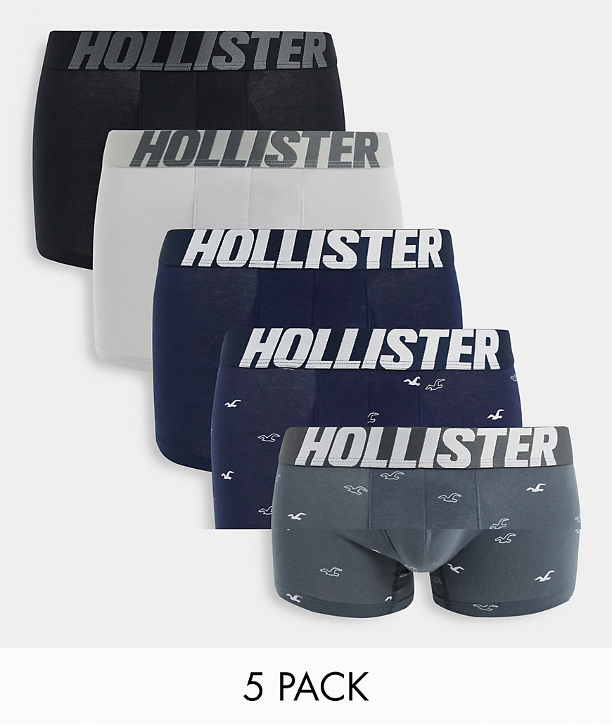 Hollister 5 pack tonal logo waistband plain and all over icon logo trunks in black/gray/navy-Multi