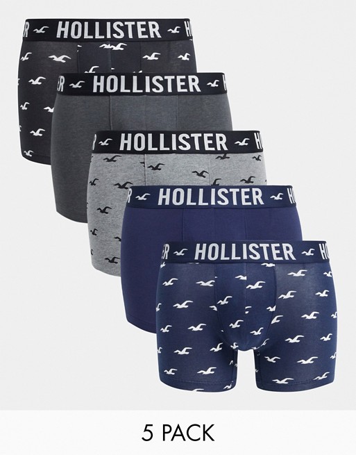 Hollister 5 pack trunks in black/blue/grey/white