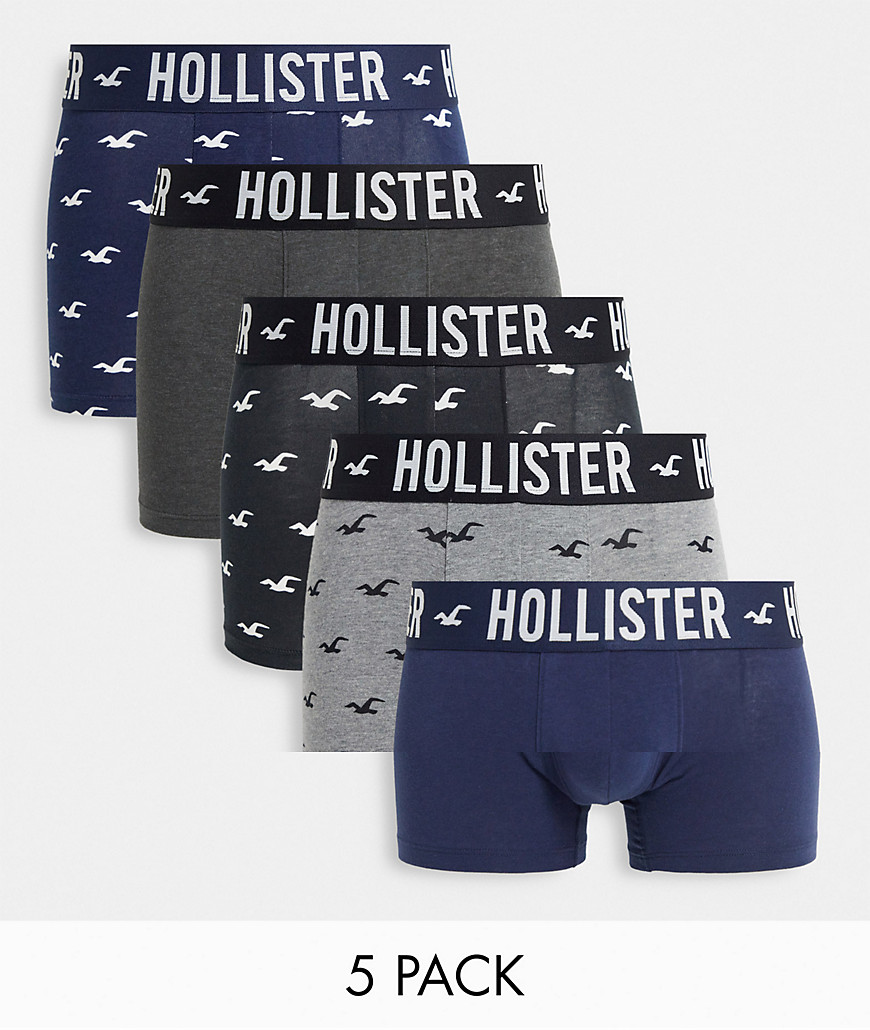 Hollister 5 pack trunks in navy/black/gray with all over logo-Multi