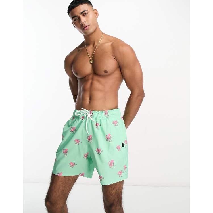 Hollister bathing suits mens on sale