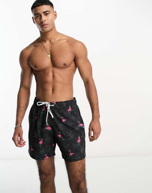Hollister swimwear men 2025