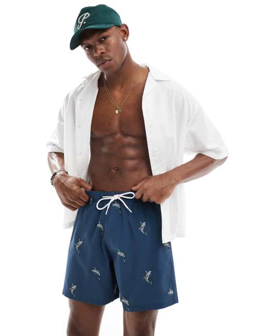 Hollister 8