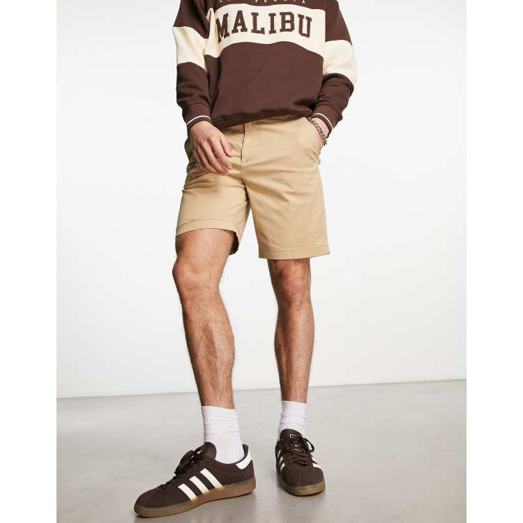 Hollister leopard shorts top