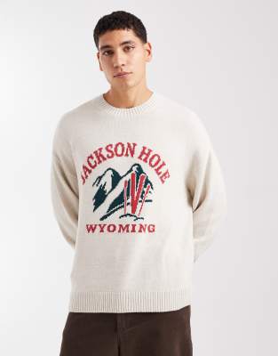 Hollister Boxy Open Hem Ski Motif Sweater In White