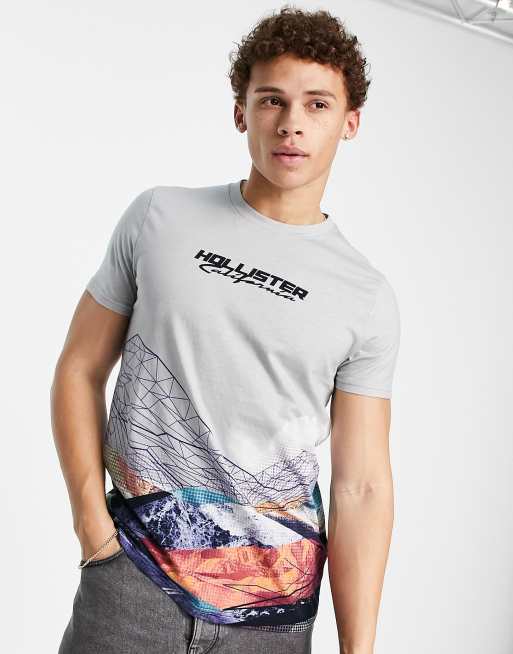 Hollister center logo scenic print T shirt in gray