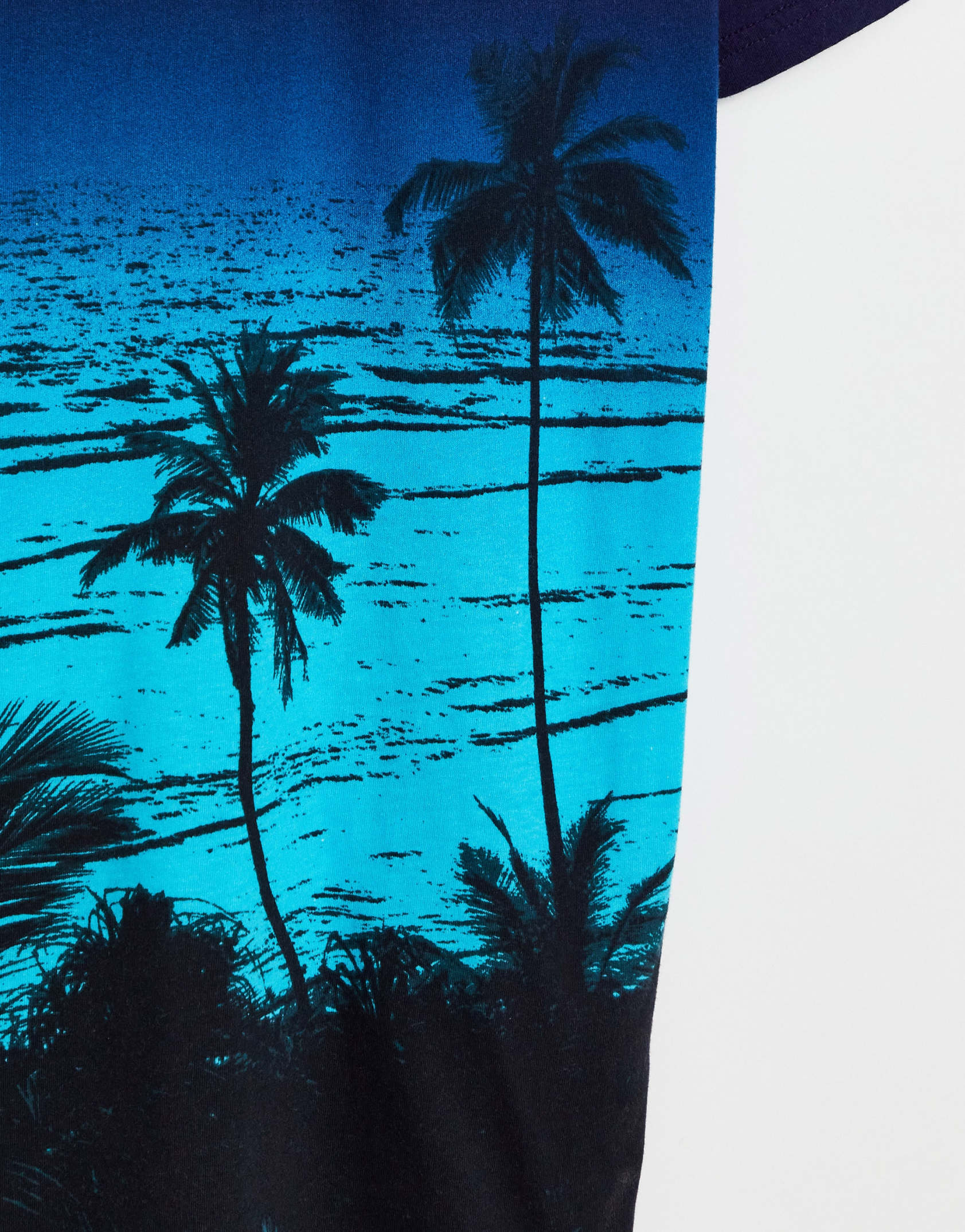 Hollister palm tree shirt hotsell