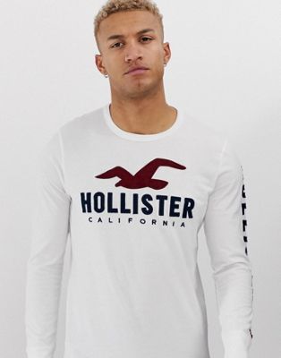 buy online (469925/324-2709-1160-102) Hollister Cotton Co. Style Pullovers  Unisex Street Plain Style Long Long Hollister Sleeves Plain Logo 