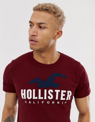 Hollister chest embroidered seagull 
