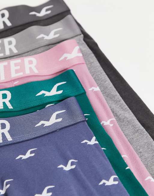 Hollister numero verde discount