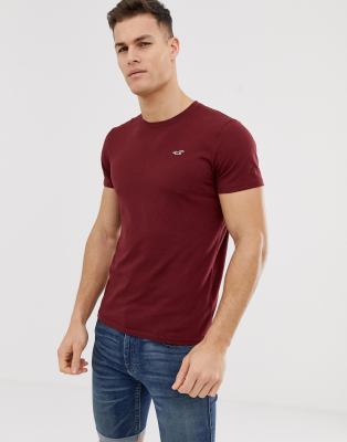 Hollister crew neck seagull logo t 