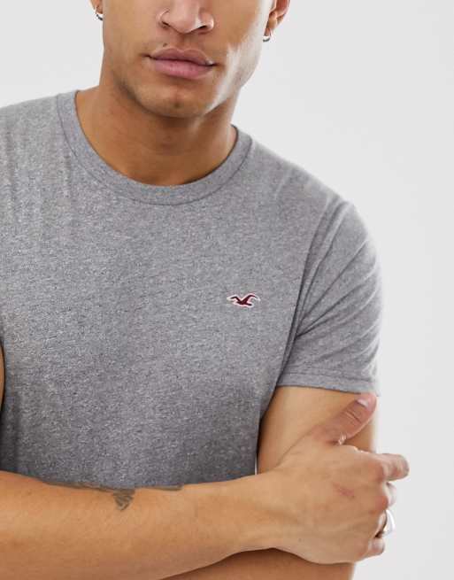 Hollister crew neck seagull logo t shirt in gray