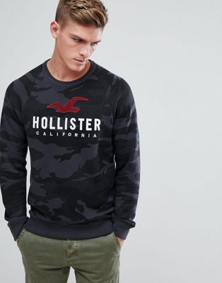 hollister crew neck sweatshirt