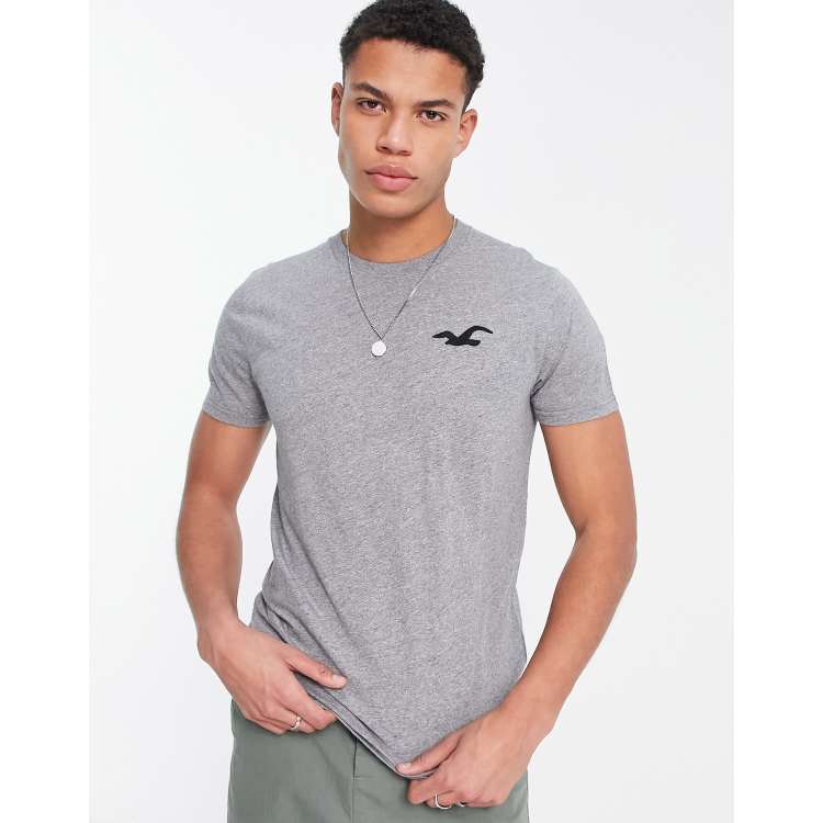 Hollister t hotsell shirt rayé