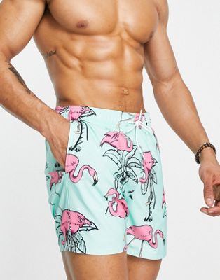 Hollister flamingo print guard swim shorts in mint green