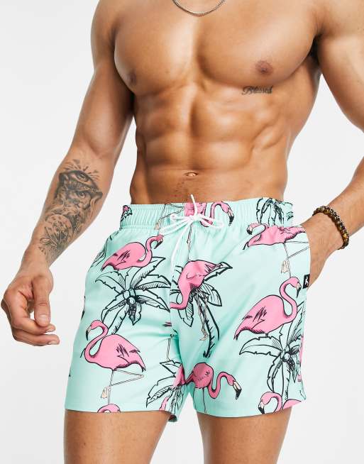 Hollister flamingo print guard swim shorts in mint green ASOS