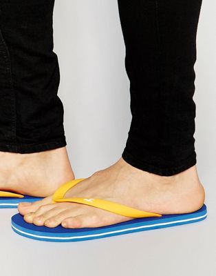 hollister flip flops