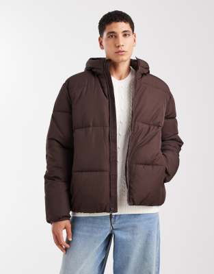 Hollister Hooded Puffer Jacket In Brown