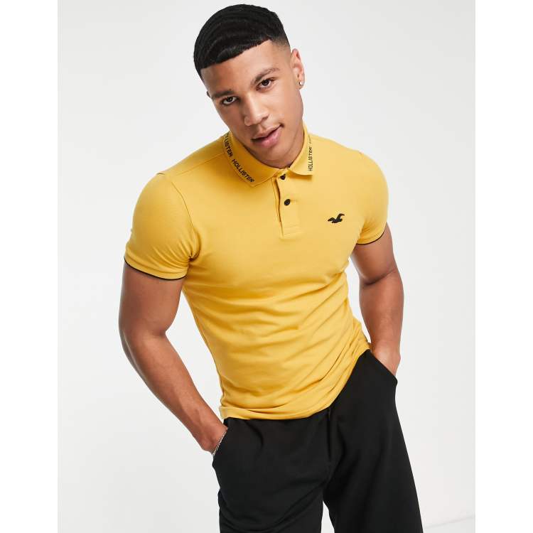 Hollister yellow men 2025