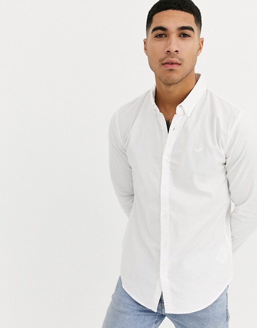 Hollister icon logo muscle fit buttondown oxford shirt in white