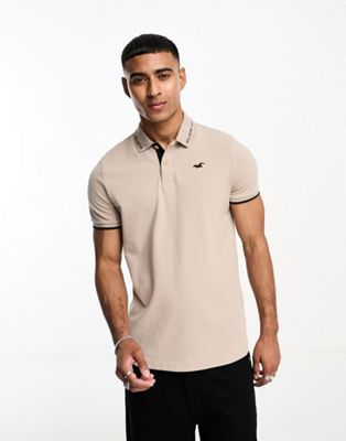 Hollister icon logo varsity tipping pique polo in beige