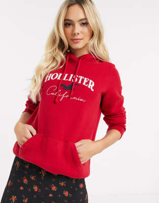 hollister hoodie herren sale