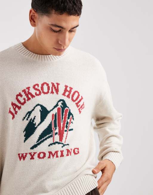 Hollister – Kastiger Pullover in Weiß mit offenem Saum und Ski-Motiv, 5 von 5