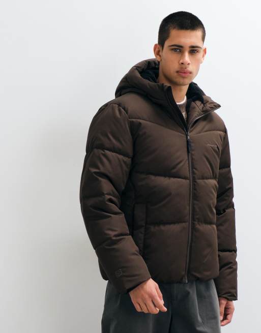 Hollister kraftig pufferjacka med huva i brun, 1 av 5