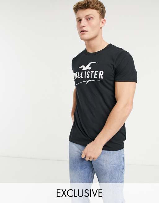 Hollister large size 2025